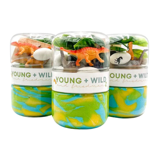 Grab & Go Dough Jar - Dinosaur by Young + Wild and Friedman