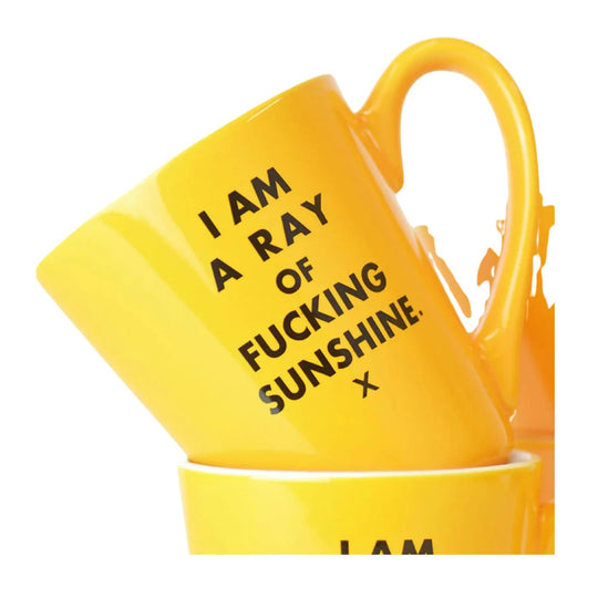 I Am A Fucking Ray Of Sunshine - Ceramic Mug 16 oz
