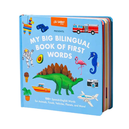 My Big Bilingual Book of First Words - Spanish/English by Blue Star Press