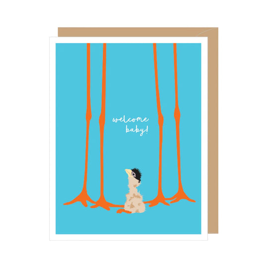 Stork Chick New Baby Card by Apartment 2 Cards