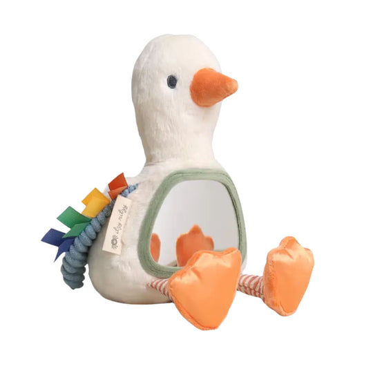 Itzy Bitzy Mirror Tummy Time Sensory Toy - Goose by Itzy Ritzy