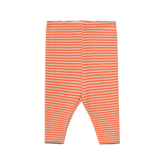 Stripes Rib Baby Pant - Summer Red by Tinycottons