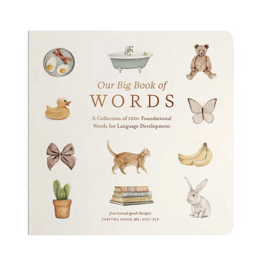 Our Big Book of First Words - Board Book