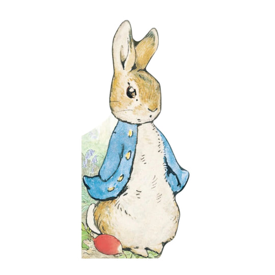 All About Peter (Peter Rabbit) - Board Book