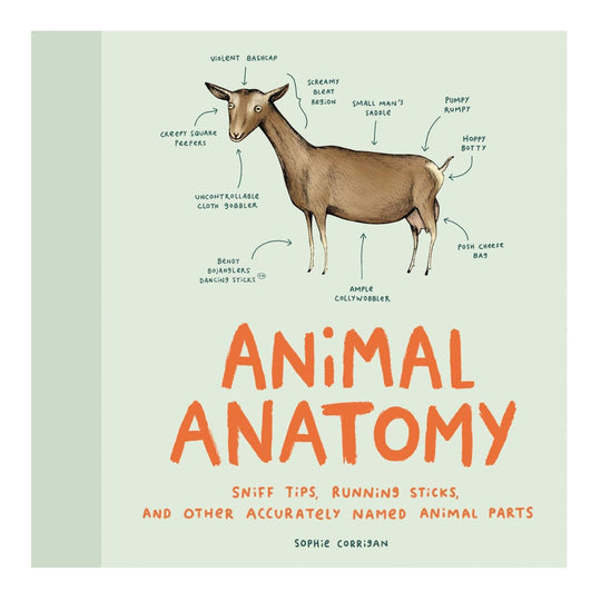 Animal Anatomy - Hardcover
