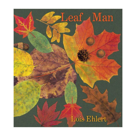 Leaf Man - Board Book