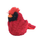 A red fluffy bird plush toy with a black face, orange beak, and red tail, isolated on a white background.