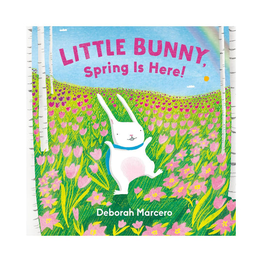 Little Bunny, Spring is Here! - Board Book
