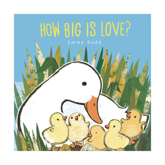 How Big Is Love? - Board Book