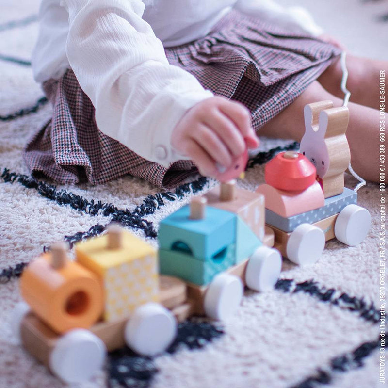 Pure Wooden Train by Janod