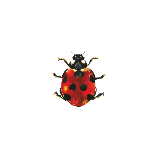 Lucky Ladybug Tattoos - Set of 2 by Tattly