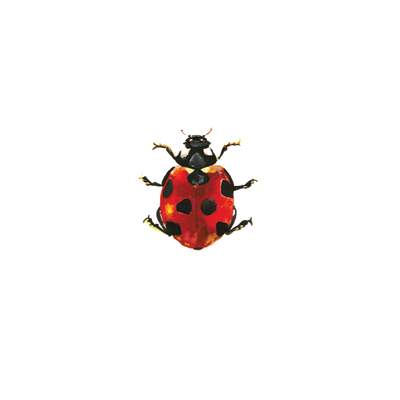 Lucky Ladybug Tattoos - Set of 2 by Tattly