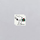 Cartoon dog holding a gift box on a gray background