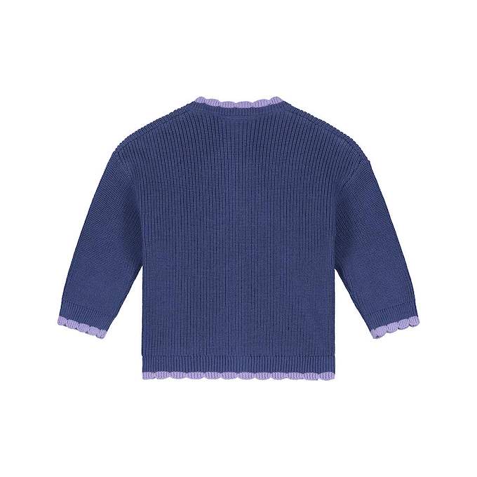 A blue ribbed knit long-sleeve sweater shown from the back, featuring light purple/lavender scalloped trim along the neckline, cuffs, and hem, set against a plain white background.