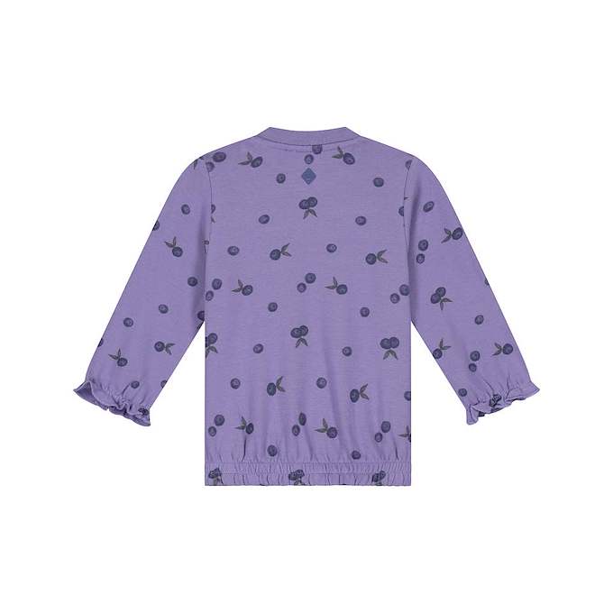 A purple long-sleeve top with an all-over berry print, featuring gathered elastic cuffs and a matching elastic hem, shown from the back on a white background.
