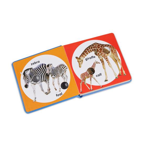 Interior page of book showing zebra and giraffe