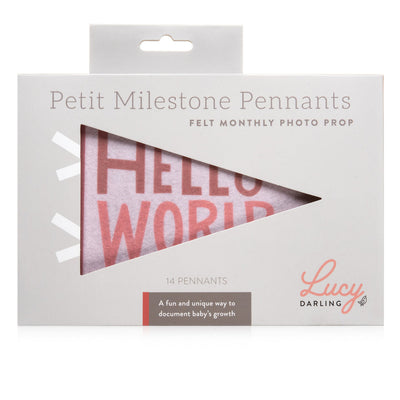 Blushing Meadow Petit Milestone Pennant by Lucy Darling Gifts Lucy Darling   