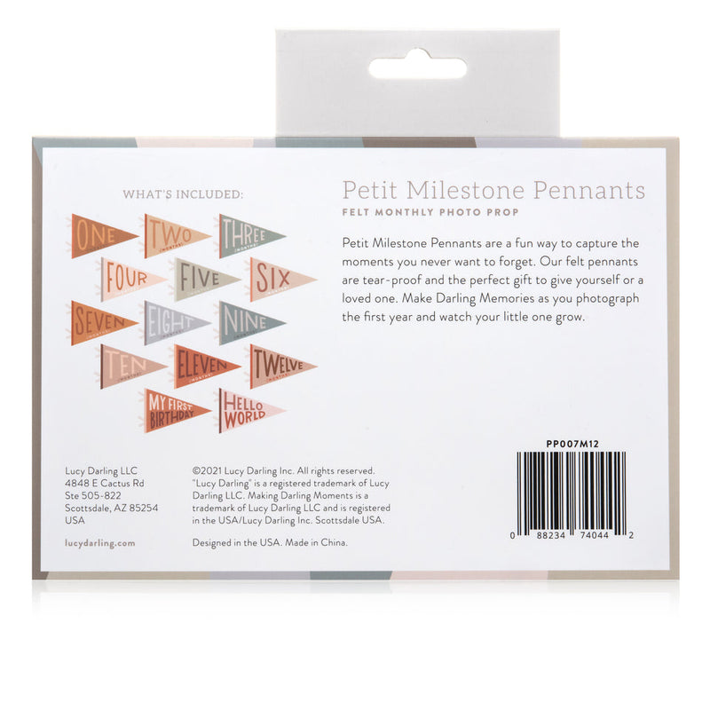 Mountain Fields Petit Milestone Pennant by Lucy Darling Gifts Lucy Darling   