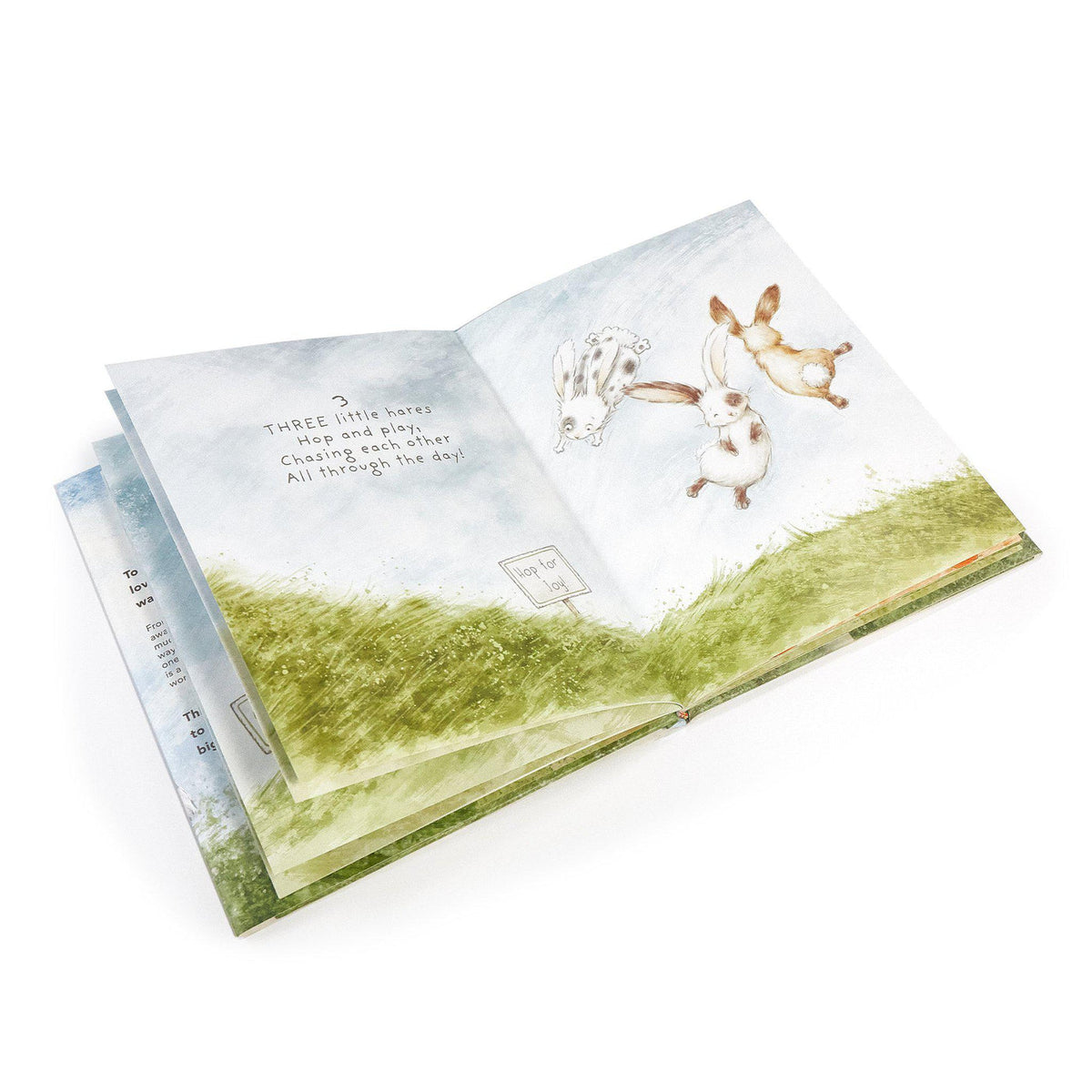 Every Hare Counts Book Books Bunnies by the Bay   