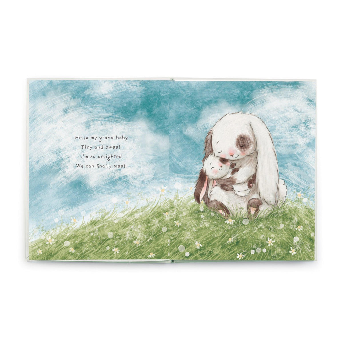 What Will My Grandchild Call Me? Book Books Bunnies by the Bay   