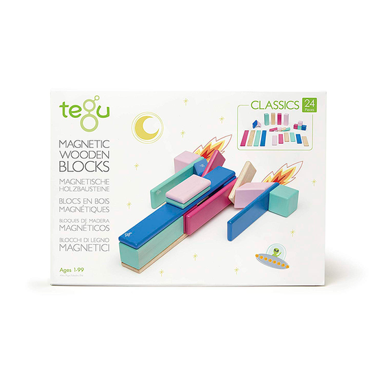 Magnetic Block Set 24 Pc Set - Blossom by Tegu