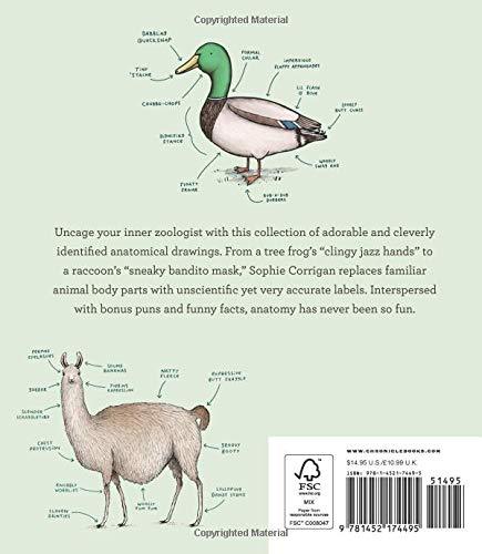 Animal Anatomy - Hardcover Books Chronicle Books   
