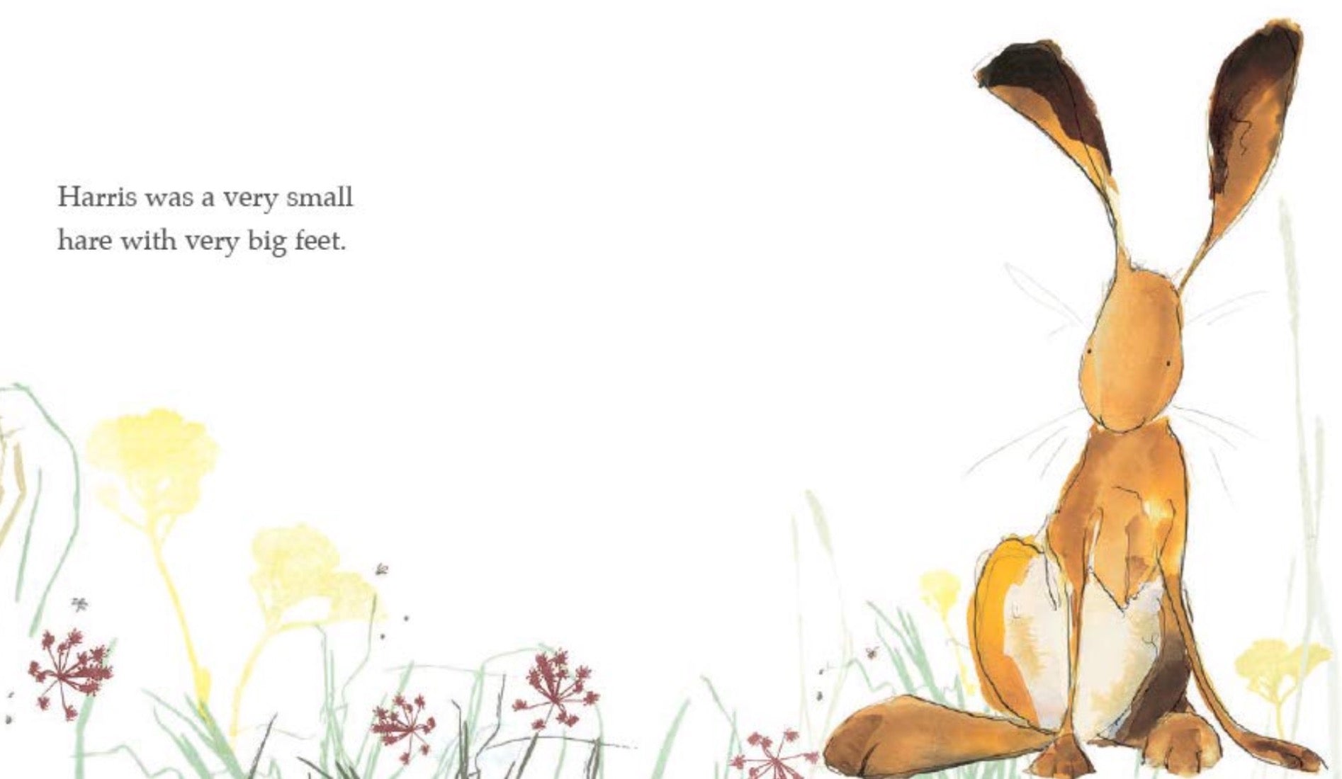 Harris Finds His Feet - Board Book Books Penguin Random House   