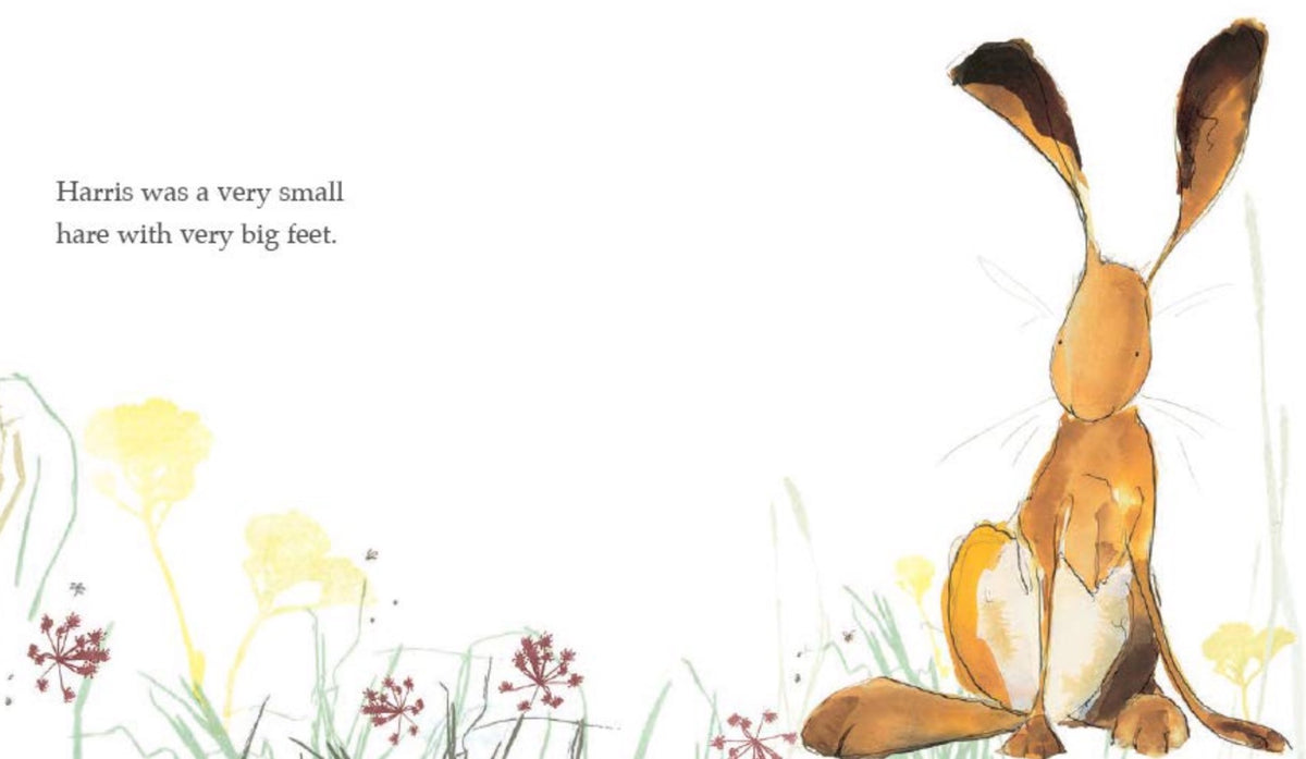 Harris Finds His Feet - Board Book Books Penguin Random House   