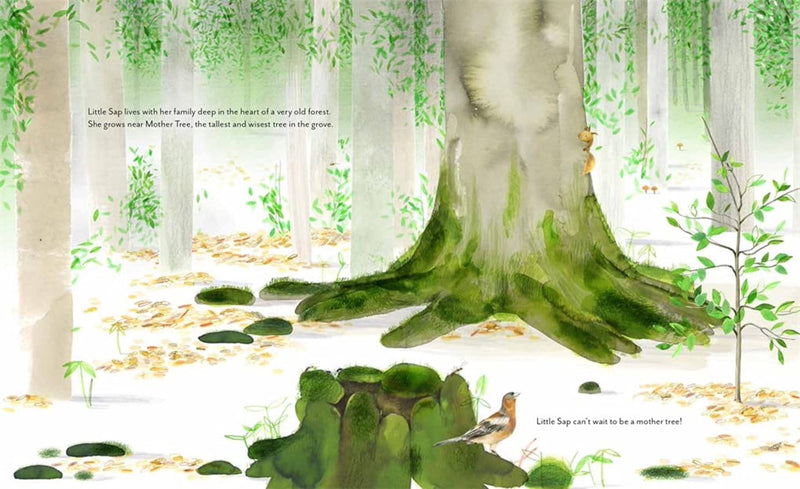 Little Sap:  A Magical Story of a Forest Family - Hardcover Books Abrams   