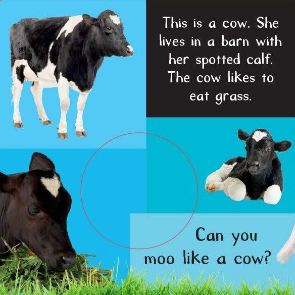 Noisy Farm Touch and Feel - Board Book Books Penguin Random House   