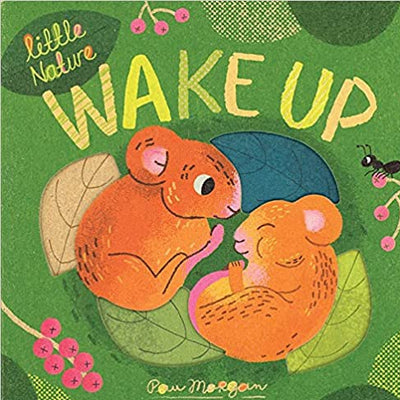 Wake Up - Little Nature Board Book Books Usborne Books   