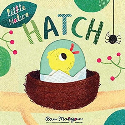 Hatch - Little Nature Board Book Books Usborne Books   
