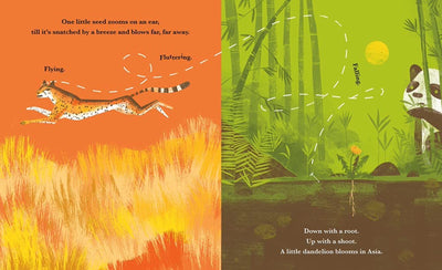 Little Dandelion Seeds the World - Hardcover Books Sleeping Bear Press   