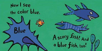 Colors with Little Fish - Board Book Books Penguin Random House   
