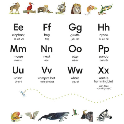 Jonny Lambert’s Animal ABC - Board Book Books Penguin Random House   