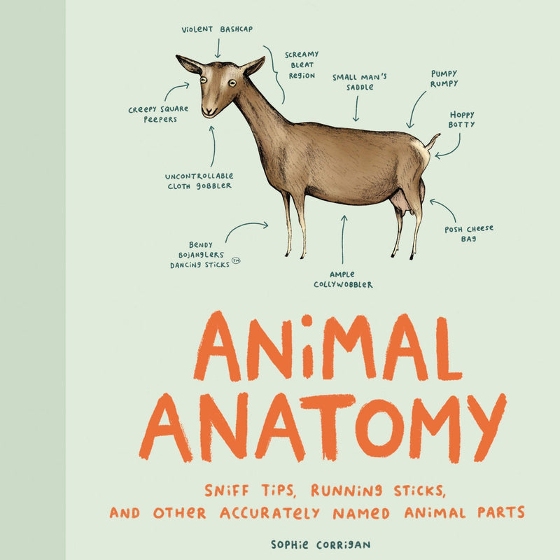 Animal Anatomy - Hardcover Books Chronicle Books   