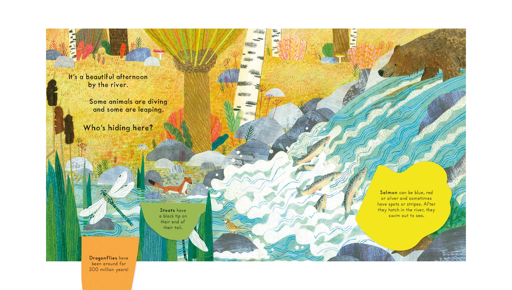 Who's Hiding on the River - Board Book Books Penguin Random House   