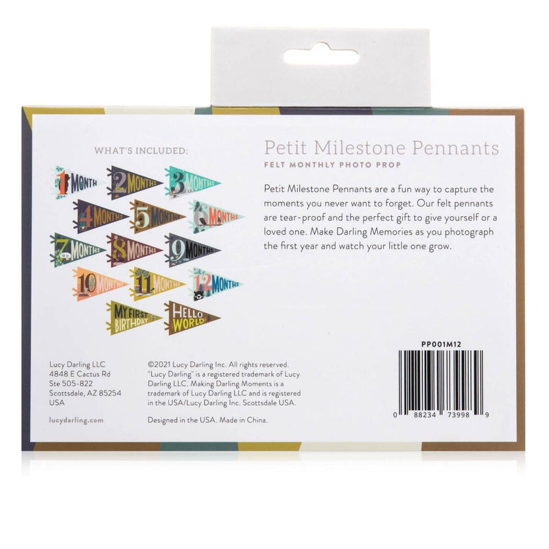 Little Camper Petit Milestone Pennant by Lucy Darling Gifts Lucy Darling   