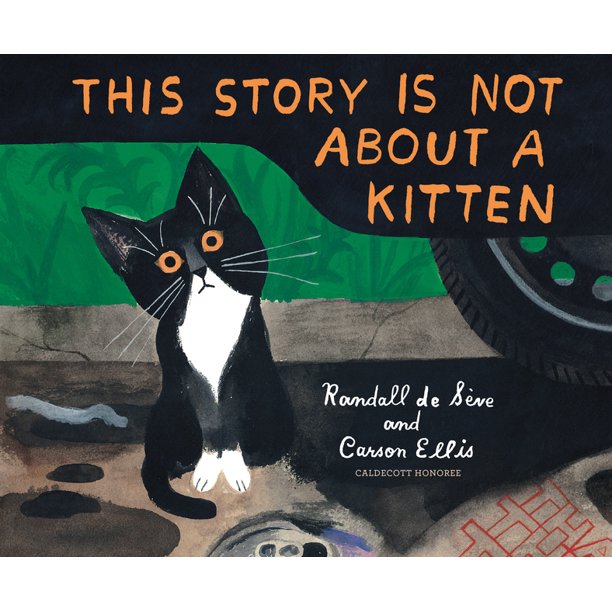This Story is Not About a Kitten - Hardcover