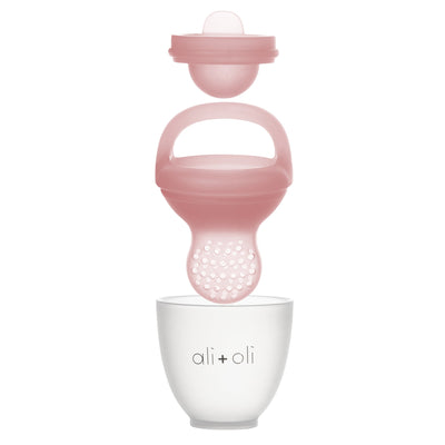 Food and Fruit Feeder Pacifier Set - Snow + Blush by Ali + Oli