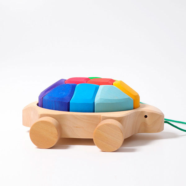 Rainbow Turtle by Grimm&