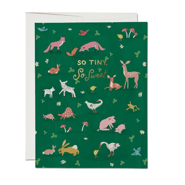 Tiny Animals Card Paper Goods + Party Supplies Red Cap Cards   