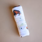 Pacifier Picks - Baby Boy Bundle Gifts Pacifier   