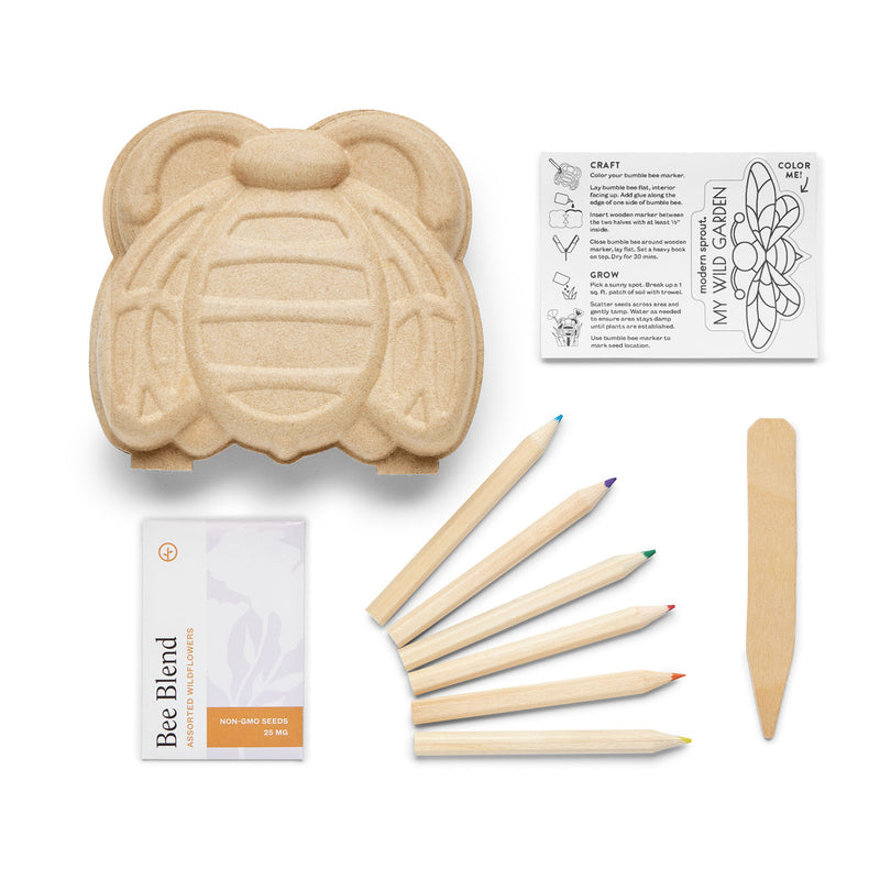 Curious Critters Bee Activity Kit by Modern Sprout