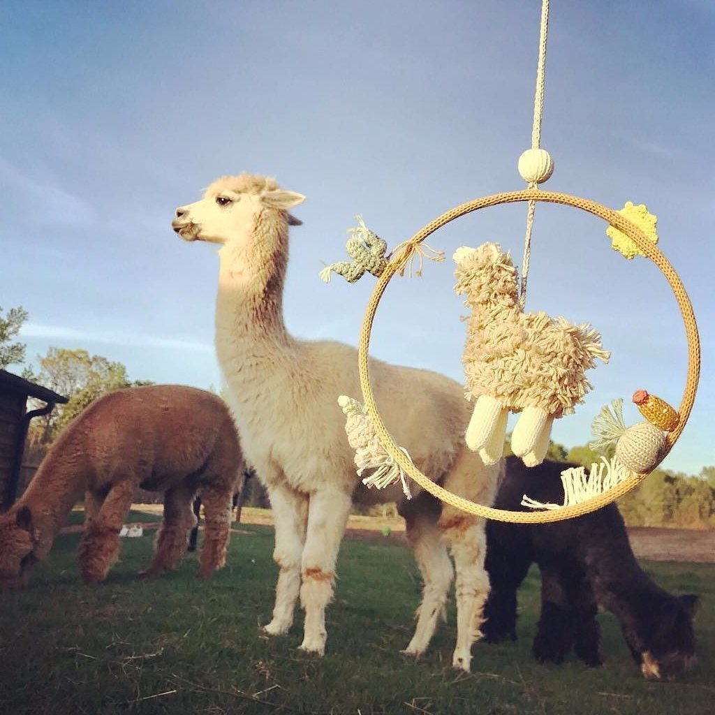 Alpaca Dream Ring Mobile by Blabla Decor Blabla   