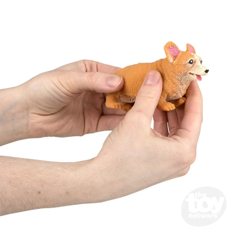 Stretchy Squish Corgi - 4 Inch by the Toy Network Toys The Toy Network   