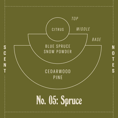 Spruce Soy Candle - Standard by PF Candle Co Decor PF Candle Co   