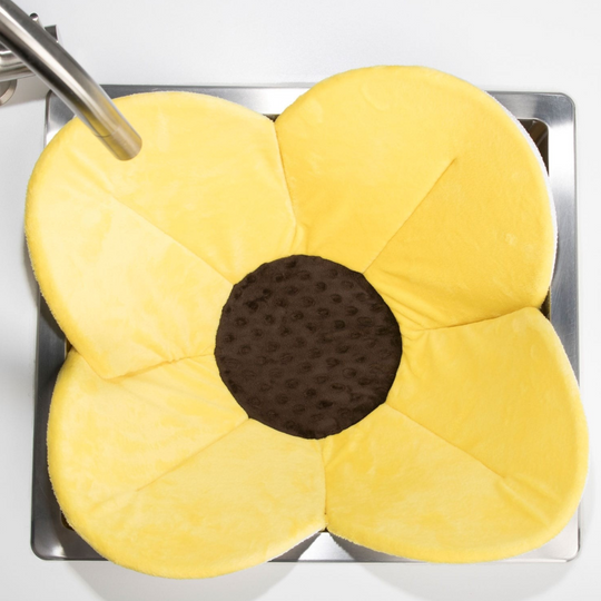 Blooming Bath Poppy - Yellow