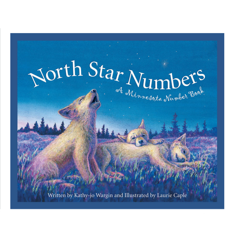 North Star Numbers: A Minnesota Number Book - Hardcover Books Sleeping Bear Press   