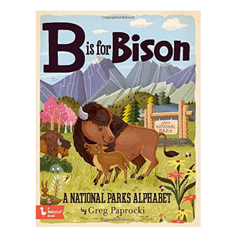 B is for Bison - Board Book Books Gibbs Smith   